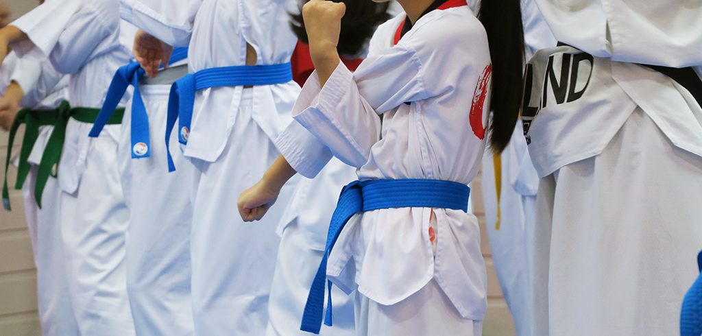 tv-eiche-taekwondo